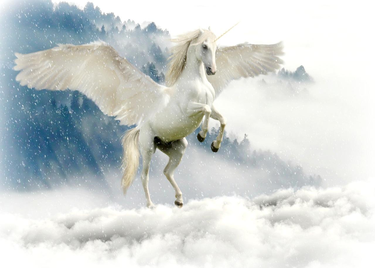 Licorne Mara