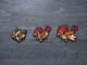 Pokemon Roucool Roucoups Roucarnage 016 017 018